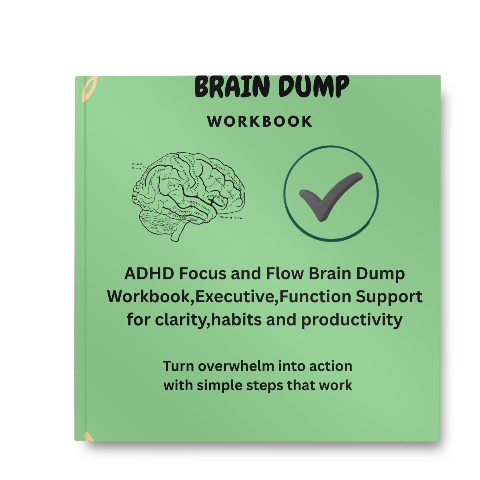 ADHD Executive Support